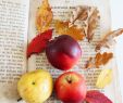 Halloween Wanddeko Best Of Autumn Apples