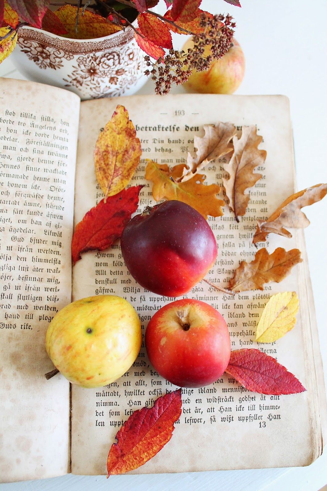 Halloween Wanddeko Best Of Autumn Apples