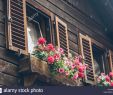 Haus Dekoration Genial Pink Flowers Decoration at Wooden Windows with Shutters