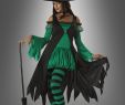 Hexen KostÃ¼me Damen Einzigartig Emerald Kräuterhexe Kostüm