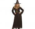 Hexen KostÃ¼me Damen Einzigartig Wow Hexen Kostüm Für Damen 34 36 S Halloween Hexenkostüm