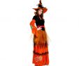 Hexen KostÃ¼me Damen Luxus Hexen Kostüm Mit Hut Für Damen Hexenkostüm Damen Halloween