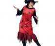Hexen KostÃ¼me Damen Neu Red Spider Hexen Kostüm Für Starke Damen Kaufen