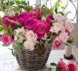 Hochzeitsdeko Garten Best Of Flowersdecoration Instagram Hashtags 31 754 Posts S