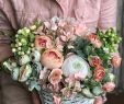 Hochzeitsdeko Garten Neu Flowersdecoration Instagram Hashtags 31 754 Posts S