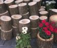 Holz Ideen Garten Schön Töpfe Aus Truhen
