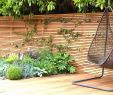 Holz Im Garten Einzigartig 32 Genial Garten Ideen Sichtschutz Elegant
