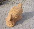 Holzskulpturen Selber Machen Best Of Adler Holzwerkstatt Kohli Chainsaw Carvings