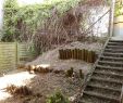 Holzskulpturen Selber Machen Elegant 27 Einzigartig Garten Sichtschutzzaun Schön