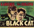 Horror Deko Inspirierend the Black Cat 1934 Poster Art