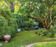Idee Für Garten Luxus Gartengestaltung Kleine Garten