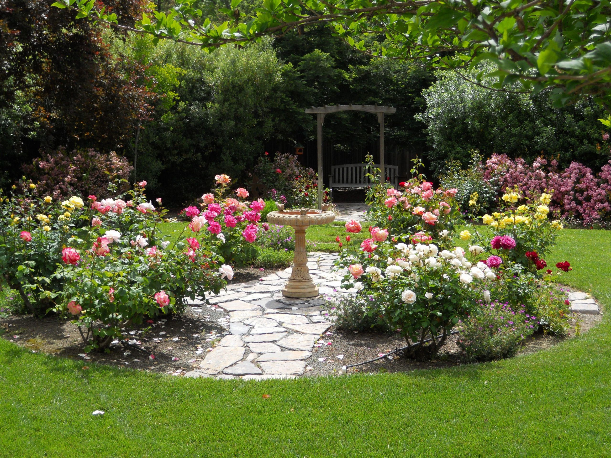 Idee Garten Genial Simple Design Ideas Rose Garden Plans Gardendesignideas
