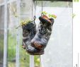 Idee Garten Schön Pair Od Abandoned Leather Black Shoes Used Like Flower Pots