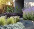 Ideen Beetgestaltung Neu 37 Simple but Beautiful Front Yard Landscaping