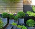 Ideen Für Kleine Reihenhausgärten Inspirierend Gartengestaltung Kleine Garten