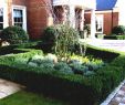 Ideen Gartendeko Elegant Ein Steingarten ist Gute Idee Für Die Steigung Wenn Das