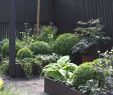 Ideen Kleiner Garten Einzigartig Gartengestaltung Kleine Garten