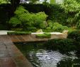 Japanische Gartengestaltung Genial sthetik Und Eleganz Das ist Japanische Gartenkunst