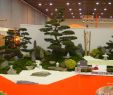 Japanische Gartengestaltung Inspirierend Kleine Japanisch Gestaltete Gartenflächen Können Ihren