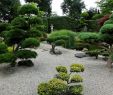 Japanische Gartengestaltung Schön Sichtschutz Markise