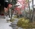 Japanischer Garten Einzigartig èåº­ äºæ³å¸ é¬¼ä¸æ§ Gardengate