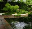 Japanischer Garten Gestalten Frisch sthetik Und Eleganz Das ist Japanische Gartenkunst
