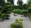 Japanischer Garten Gestalten Neu Sichtschutz Markise