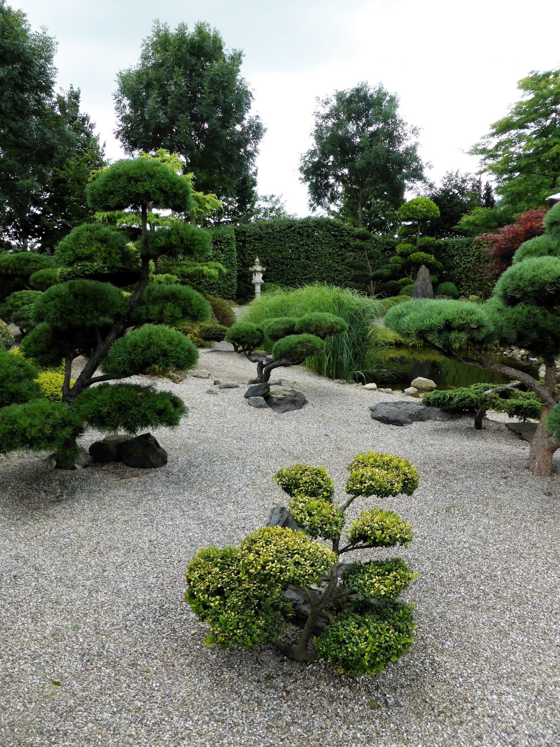 Japanischer Garten Gestalten Neu Sichtschutz Markise