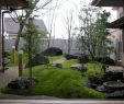 Japanischer Garten Ideen Luxus 75 Ideen Für Landschaftsgestaltung Im Vorgarten Des