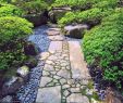 Japanischer Garten Luxus Pin Auf Japanischer Garten