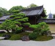Japanischer Garten Pflanzen Luxus Zahrada Boha StarÅ¡­ch A PÄtpodlaÅ¾n­ Pagoda
