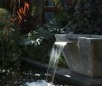 Japanisches Wasserspiel Selber Bauen Elegant 26 Reizend Wasserwand Garten Selber Bauen Schön