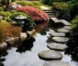 Japanisches Wasserspiel Selber Bauen Schön 93 Best Garden Water Features Images