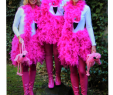 KarnevalskostÃ¼me Damen Gruppe Elegant Last Minute KostÜm Flamingo In 2019