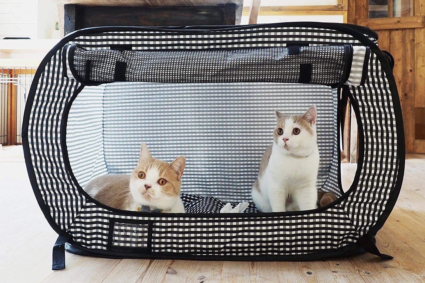 Katze Deko Garten Luxus 31 Neu Garten Katzensicher Machen Das Beste Von