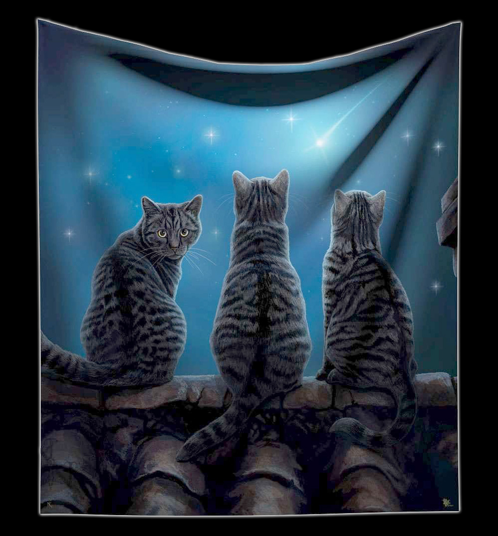Katzen Deko Shop Einzigartig Kuscheldecke Katzen Wish Upon A Star Von Lisa Parker