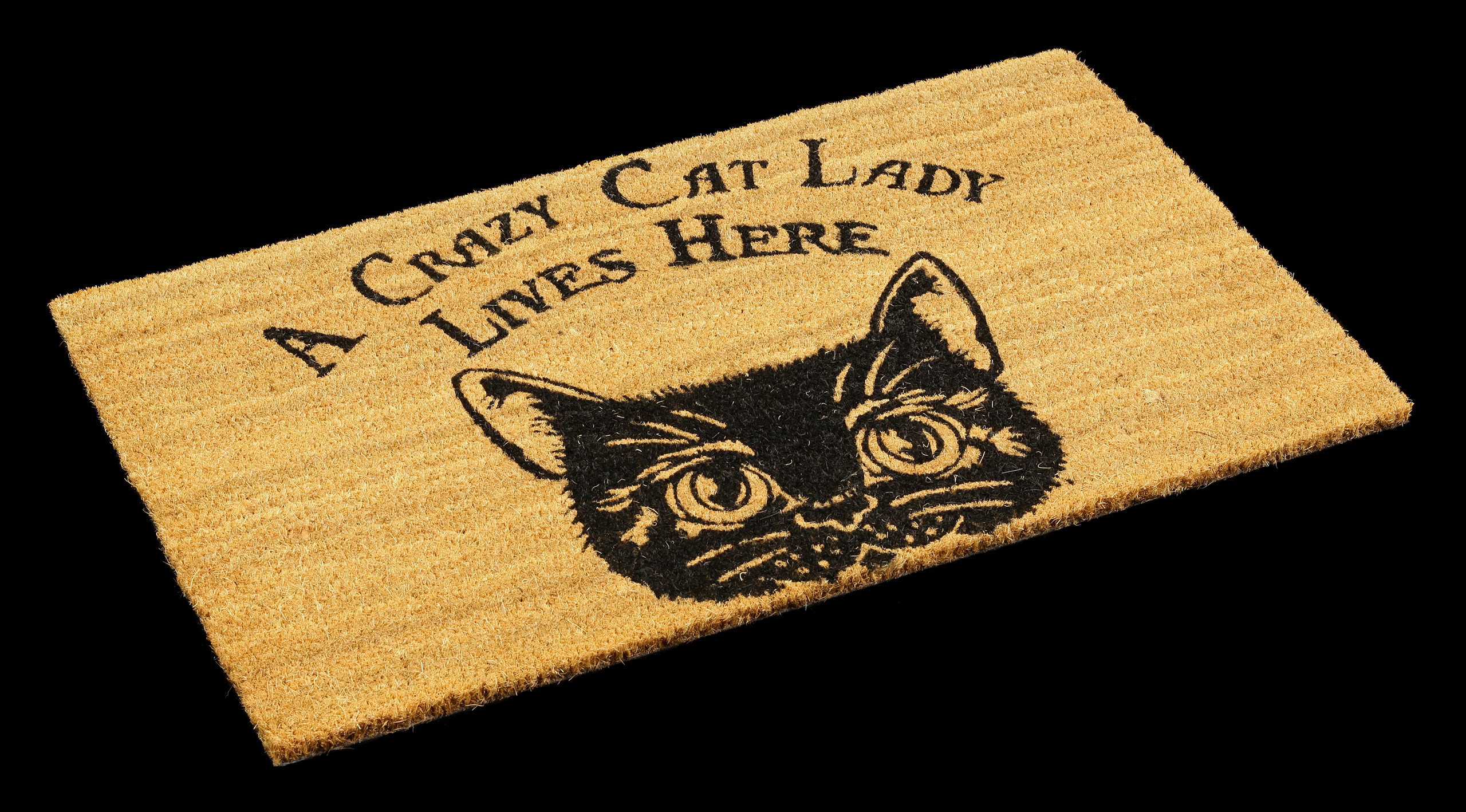 Katzen Deko Shop Luxus Fantasy Fußmatte Mit Katze Crazy Cat Lady