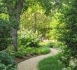 Kiesgarten Anlegen Einzigartig Pin Von Renate Schenkeli Auf Pflanzen