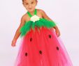 Kleid Halloween Elegant Tutu Dress Strawberry Birthday or Halloween Costume Red