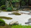Kleine GÃ¤rten Gestalten Ohne Rasen Einzigartig Garten Ohne Rasen Schöne Gestaltungsideen Tipps & Tricks