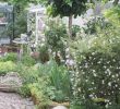 Kleine GÃ¤rten Gestalten Ohne Rasen Inspirierend Garten Ohne Rasen Ideen Zur Gestaltung Eines Landhausgarten