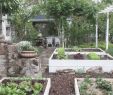 Kleine GÃ¤rten Gestalten Ohne Rasen Schön Garten Ohne Rasen Ideen Zur Gestaltung Eines Landhausgarten