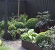 Kleine Gärten Neu Gestalten Genial Gartengestaltung Kleine Garten