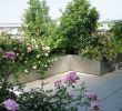 Kleinen Balkon Gestalten Inspirierend Dachgarten Salathé Rentzel Gartenkultur Ag