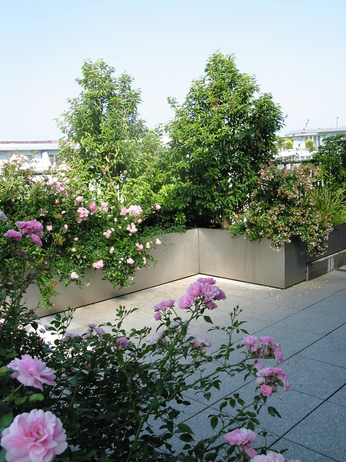 Kleinen Balkon Gestalten Inspirierend Dachgarten Salathé Rentzel Gartenkultur Ag