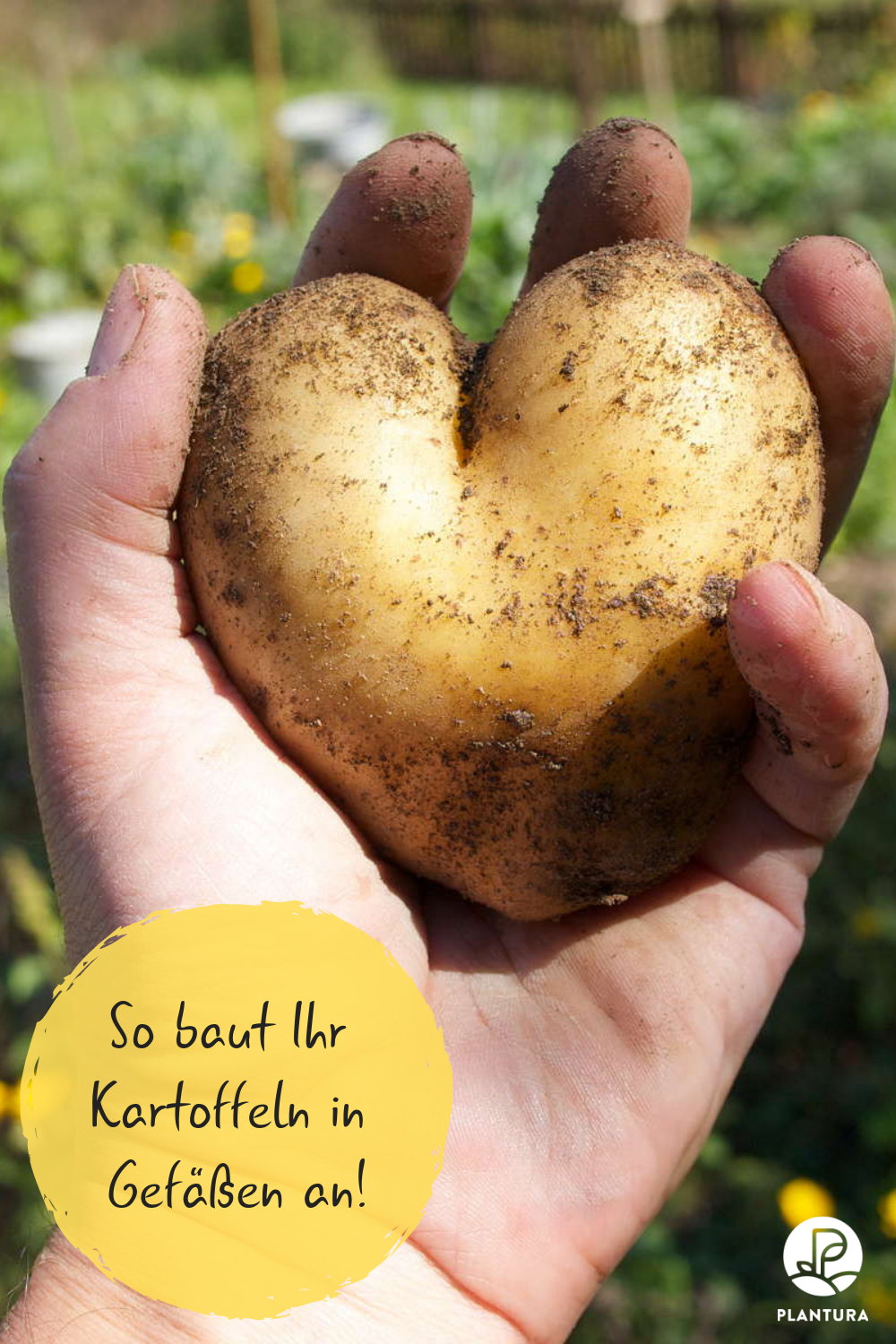 Kleinen Garten Anlegen Elegant Kartoffelanbau Im Blumentopf Für Den Kleinen Garten Oder
