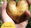 Kleinen Garten Bepflanzen Genial Kartoffelanbau Im Blumentopf Für Den Kleinen Garten Oder