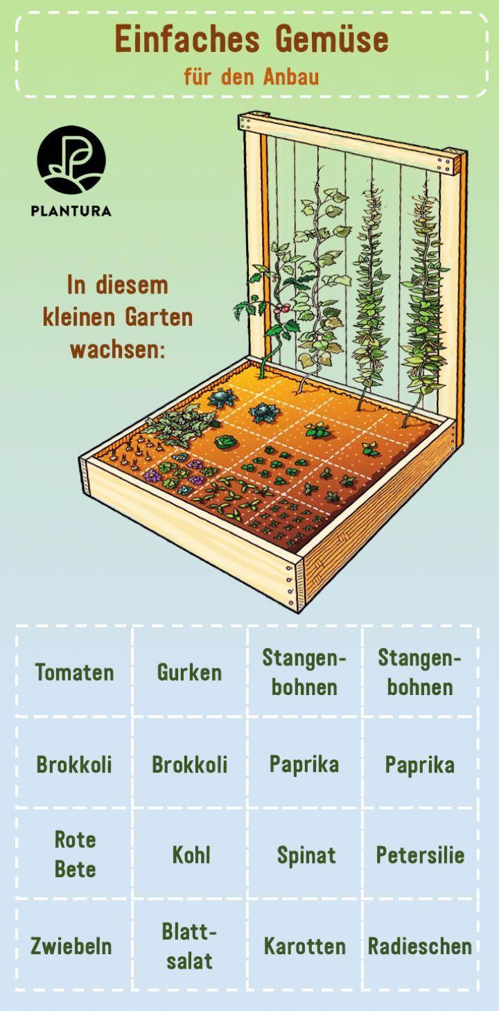 Kleinen Garten Bepflanzen Schön Pin On Follow Me