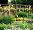 Kleinen Garten Neu Gestalten Neu Erstellen Sie Einen Gemüsegarten Tipps Vom Profi Für Ihre