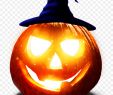 KostÃ¼me Kinder Halloween Schön Jackoampaposlantern Png Free Transparent